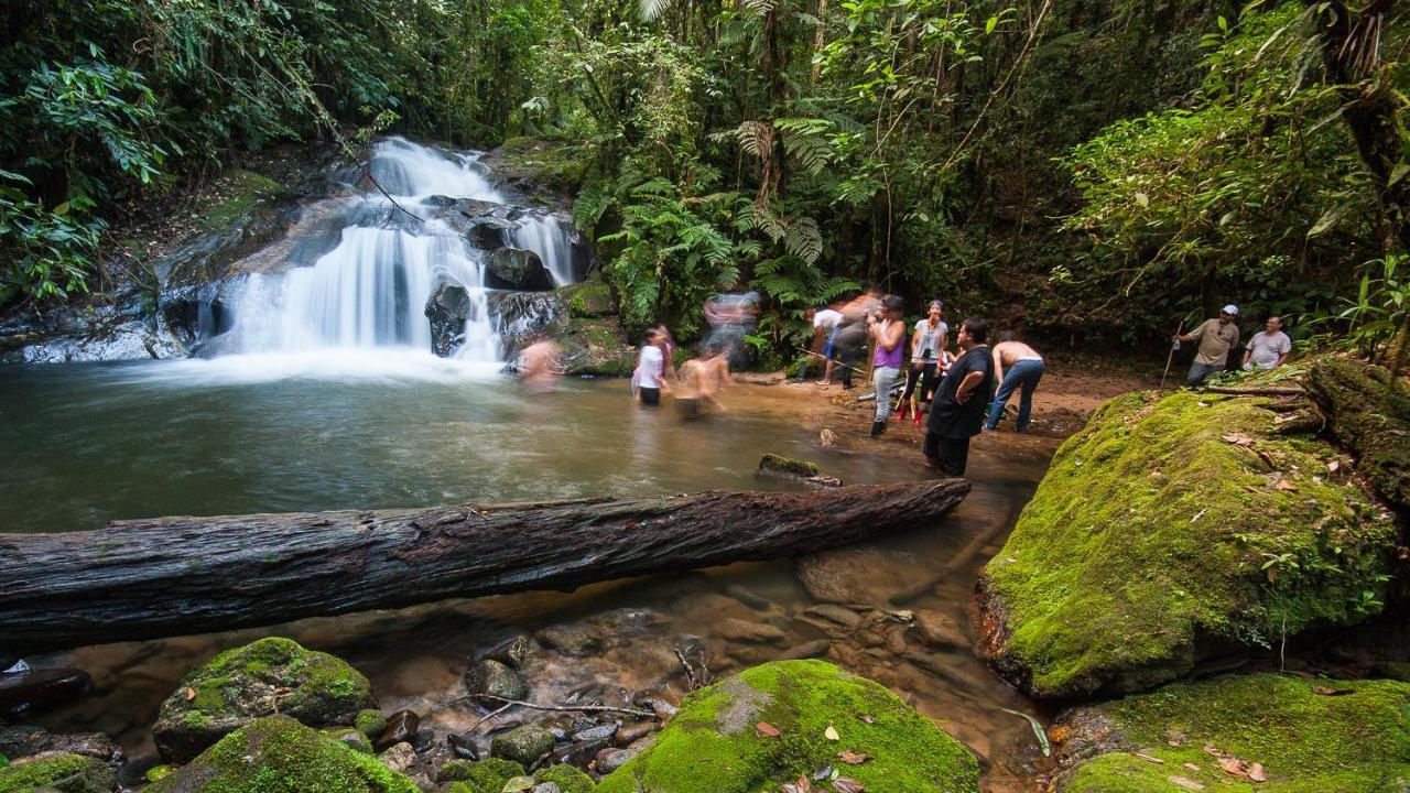 Pousada Salve Floresta Tapirai Exterior photo
