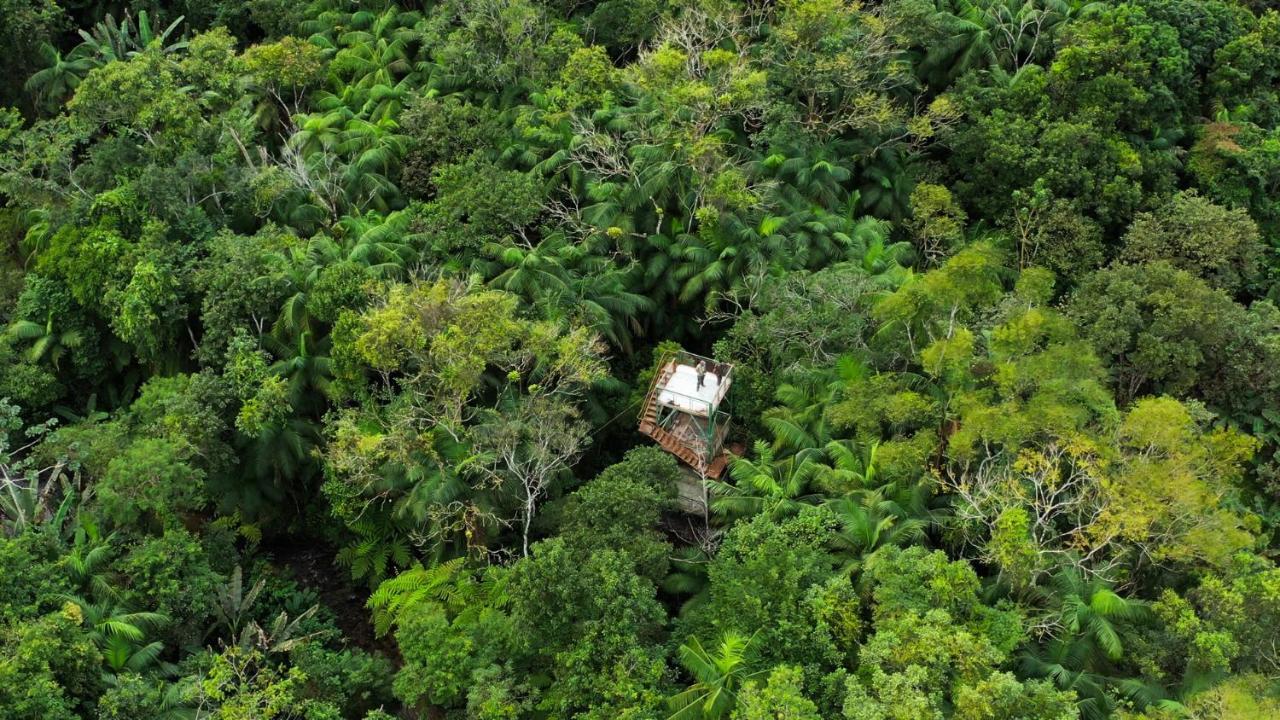 Pousada Salve Floresta Tapirai Exterior photo