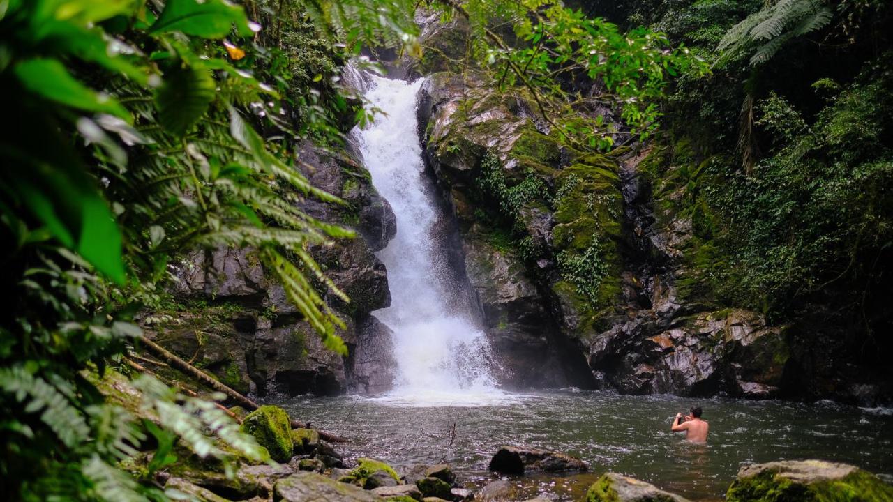 Pousada Salve Floresta Tapirai Exterior photo
